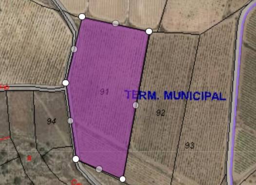 Land - Venta - Monóvar/Monóver - Inland