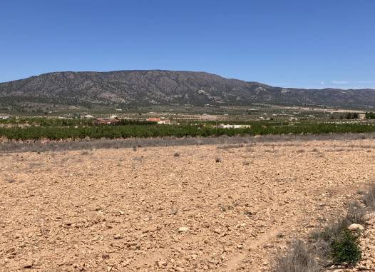 Land - Venta - Pinoso - Inland