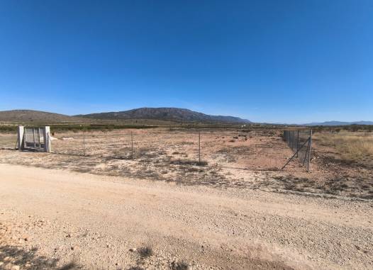 Land - Venta - Pinoso - Inland