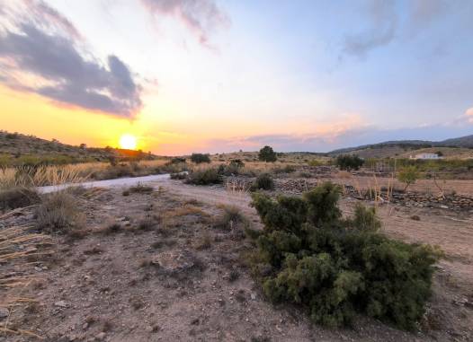Land - Venta - Pinoso - Inland