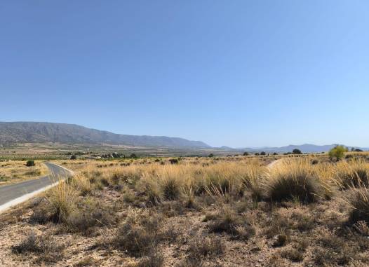 Land - Venta - Pinoso - Inland