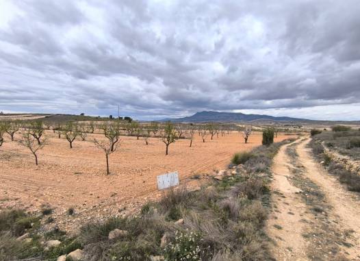 Land - Venta - Pinoso - Inland