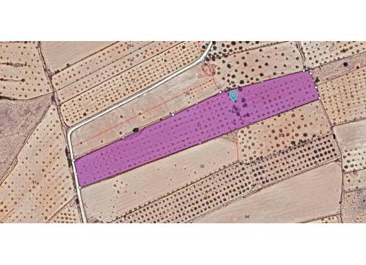 Land - Venta - Pinoso - Inland