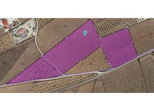 Land - Venta - Pinoso - Inland