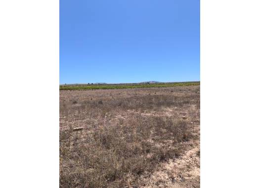 Land - Venta - Pinoso - Inland