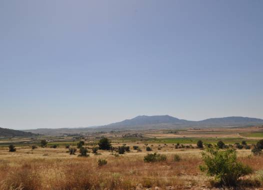 Land - Venta - Pinoso - Inland