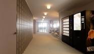 New Build - Lägenhet - Torrevieja - Los Frutales