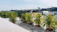 New Build - Radhus / duplex - Torrevieja