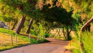New Build - Villa - Pilar de la Horadada - 