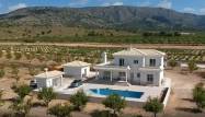 New Build - Villa - Pinoso - Camino Del Prado