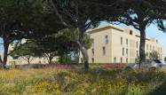 New Build - Wohnung - Denia - Camí de Sant Joan