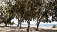 Nieuwbouw  - Appartement - Villajoyosa - Playas Del Torres