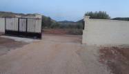 Nieuwbouw  - Villa - Pinoso - Camino Del Prado