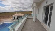 Nieuwbouw  - Villa - Pinoso - Camino Del Prado