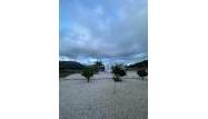 Nouvelle construction - Villa - Pinoso - Casas Pastor