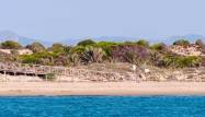 Новая сборка - Penthouse - Guardamar del Segura - Pueblo