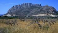Nowy budynek - Apartament - Denia - Km 10