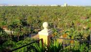 Nowy budynek - Apartament - Elche - Corte Ingles