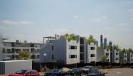 Nowy budynek - Apartament - Finestrat