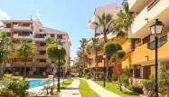 Nowy budynek - Apartament - Orihuela Costa - Punta Prima