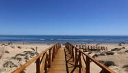 Nowy budynek - Penthouse - Torrevieja - La Mata
