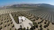 Nowy budynek - Villa - Algorfa - Lomas De La Juliana