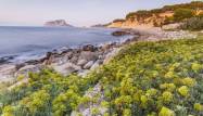Nowy budynek - Villa - Benissa - 