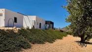 Nowy budynek - Villa - Hondón de las Nieves - La Canalosa
