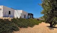 Nowy budynek - Villa - Hondón de las Nieves - La Canalosa