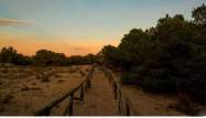 Nowy budynek - Villa - La Marina - La Marina / El Pinet