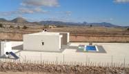 Nowy budynek - Villa - Pinoso - Camino Del Prado