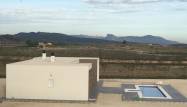 Nowy budynek - Villa - Pinoso - Camino Del Prado