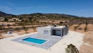 Nowy budynek - Villa - Pinoso - Camino Del Prado