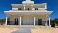 Nowy budynek - Villa - Pinoso - Camino Del Prado