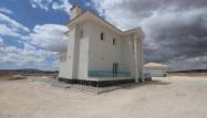 Nowy budynek - Villa - Pinoso - Camino Del Prado
