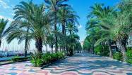 Nowy budynek - Villa - Playa de San Juan, Alicante
