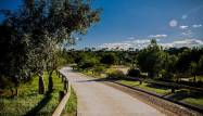 Nowy budynek - Villa - Rojales - Ciudad Quesada