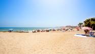 Nowy budynek - Villa - Torrevieja - La Mata