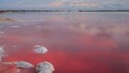 Nowy budynek - Villa - Torrevieja - Lago Jardin