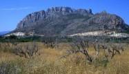 Nybygg - Leilighet - El Verger - Zona De La Playa