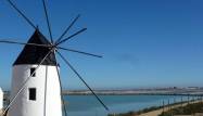 Obra nueva - Bungalow - San Pedro del Pinatar - Los Peñascos