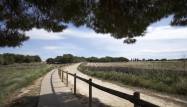 Obra nueva - Bungalow - Torrevieja - Torrejón