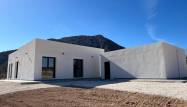 Obra nueva - Chalet - Jumilla - Torre del Rico