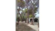 Odsprzedaż - Apartament - El Vergel