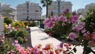 Odsprzedaż - Apartament - Orihuela Costa - Los Dolses