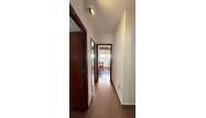 Odsprzedaż - Apartament - Orihuela - Zona Centro