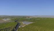 Odsprzedaż - Apartament - San Miguel de Salinas - Inland