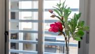 Odsprzedaż - Apartament - Torrevieja - Nueva Torrevieja - Aguas Nuevas