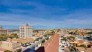 Odsprzedaż - Apartament - Torrevieja - Nueva Torrevieja