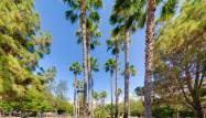 Odsprzedaż - Apartament - Torrevieja - Parque de las Naciones